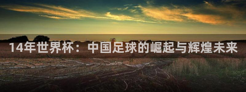 世界杯欧洲区赛程:14年世界杯:中国足球的崛起与辉煌未来