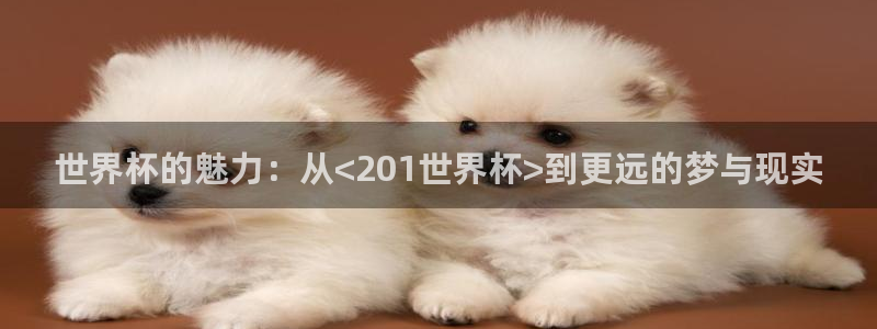 2026世界杯倒计时:世界杯的魅力:从<201世界杯>到更远的梦与现实