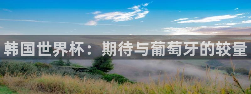 世预赛赛程表:韩国世界杯:期待与葡萄牙的较量
