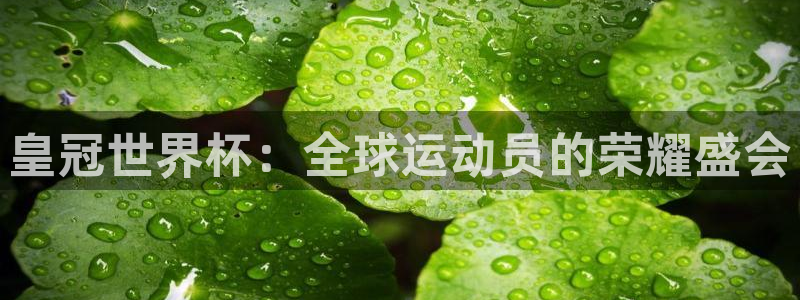 世界杯官网:皇冠世界杯:全球运动员的荣耀盛会