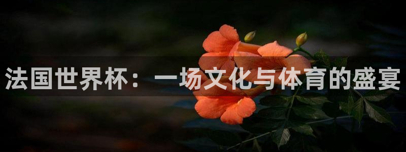 2026葡萄牙杯赛程表:法国世界杯:一场文化与体育的盛宴