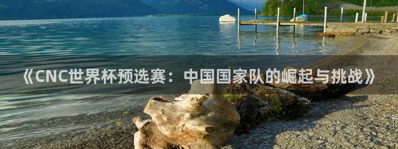 2026足球世界杯赛程:《CNC世界杯预选赛:中国国家队的崛起与挑战》
