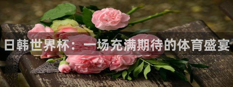 2026世界杯亚洲区预选赛赛程:日韩世界杯:一场充满期待的体育盛宴