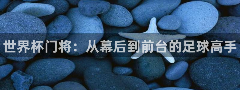 足球世界杯2026年赛程时间表:世界杯门将:从幕后到前台的足球高手